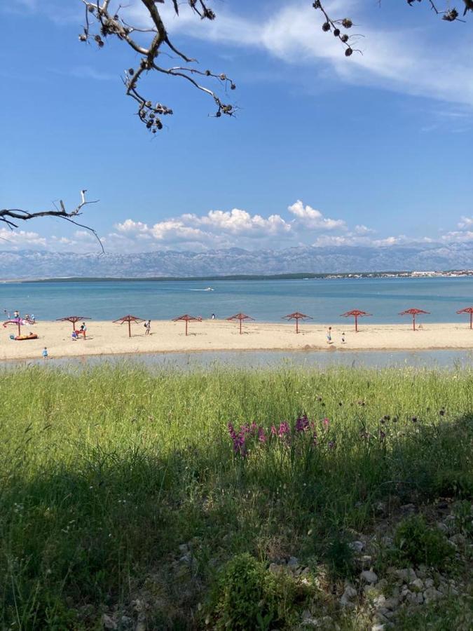 Beach Apartments Privlaka  Eksteriør billede