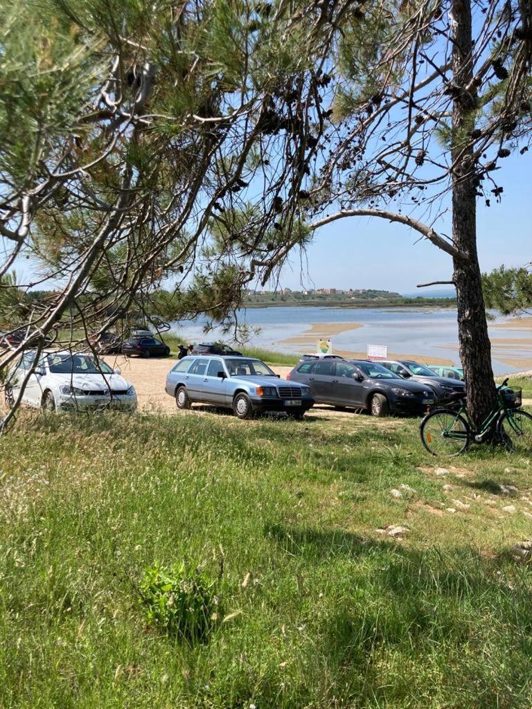 Beach Apartments Privlaka  Eksteriør billede